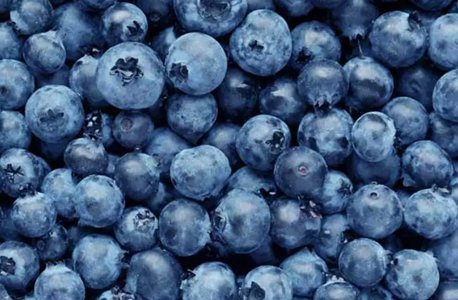 Blueberry