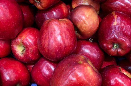 Red Delicous