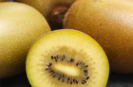 Golden Kiwi Fruit